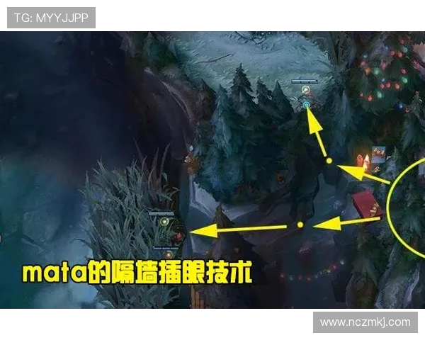 深入分析RNG战队独特节奏打法的策略与执行技巧 深入分析RNG战队独特节奏打法的策略与执行技巧