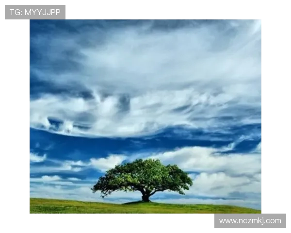 何思雨：在纷繁世界中追寻内心的宁静与真实自我