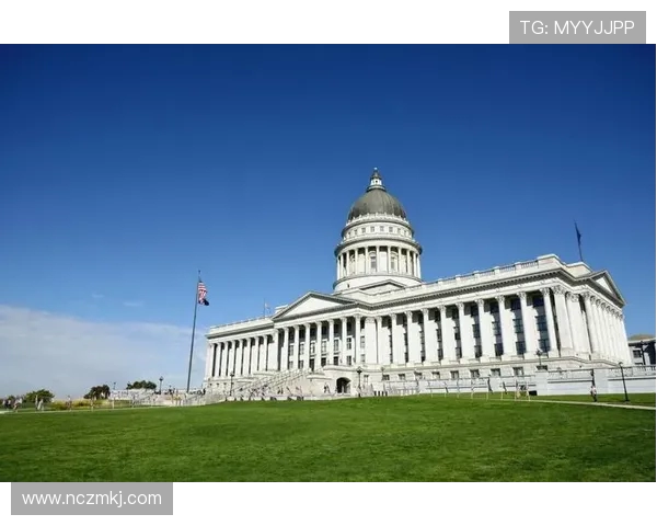 盐湖城与危市政的较量：探索城市发展与治理的未来之路