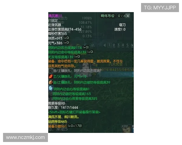 成都飞盘队在极限运动嘉年华中的意识表现与团队协作分析