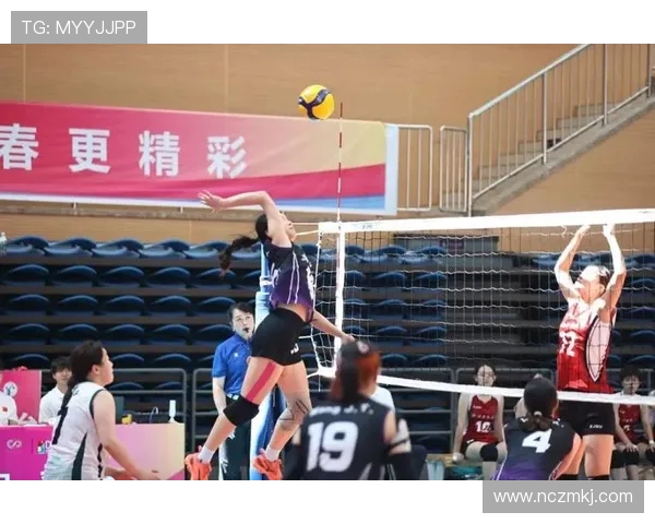 杭州排球队团队协作新模式引发热议助力竞技水平提升